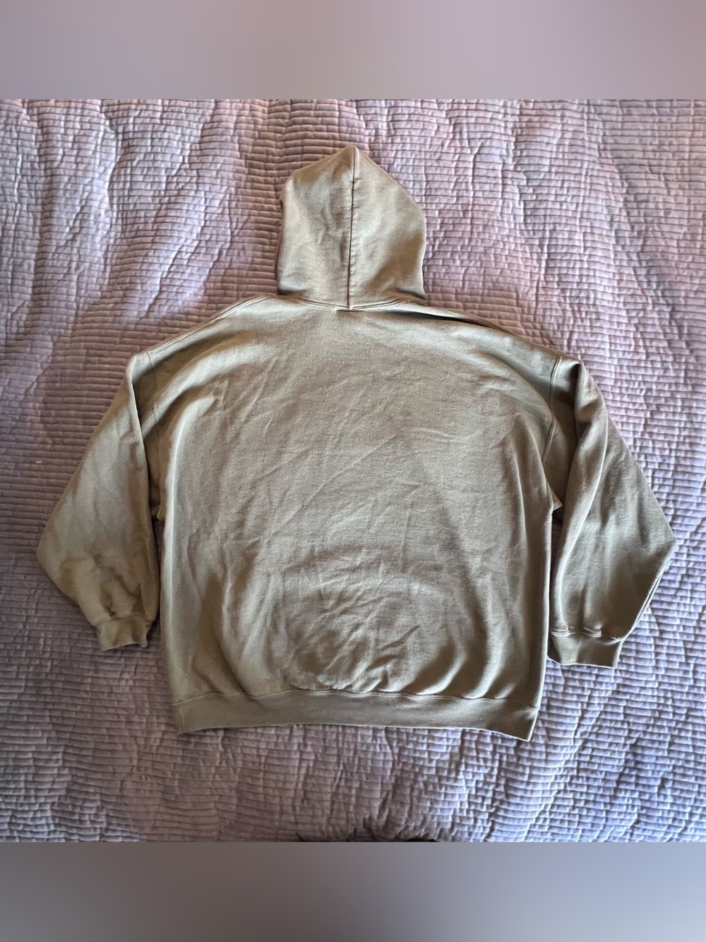 SpaceX Hoodie in Light Olive - Picture 3 of 4
